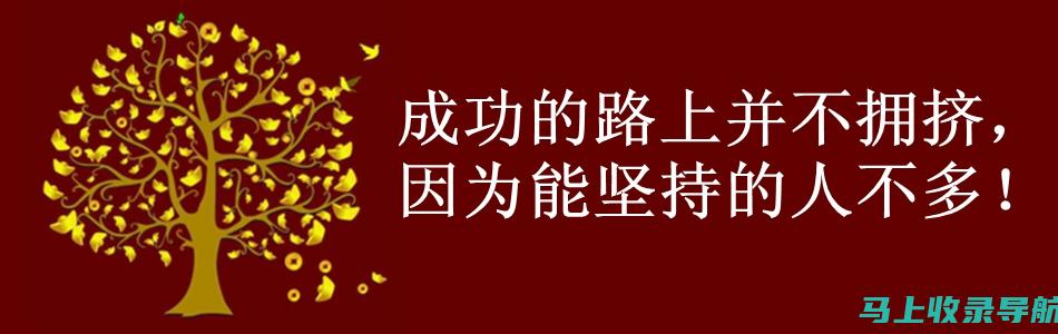 站长赚钱全攻略：从新手到高手的必经之路与实战技巧分享