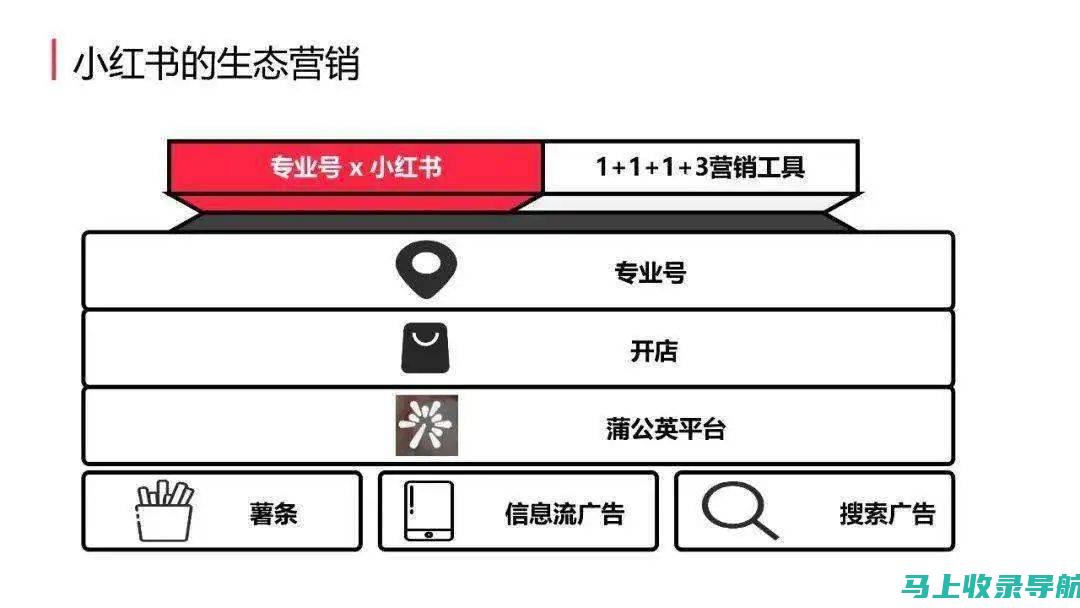 小红书营销中的云SEO推广趋势与前景分析